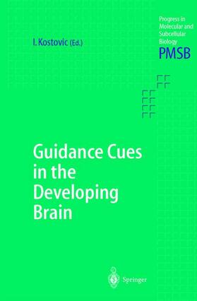 Kostovic |  Guidance Cues in the Developing Brain | Buch |  Sack Fachmedien