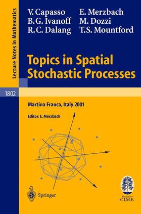 Capasso / Ivanoff / Merzbach |  Topics in Spatial Stochastic Processes | Buch |  Sack Fachmedien