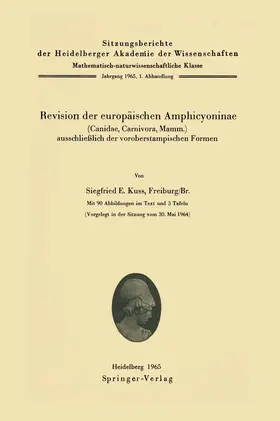 Kuss |  Revision der europäischen Amphicyoninae | Buch |  Sack Fachmedien