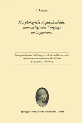 Letterer |  Morphologische Äquivalentbilder immunologischer Vorgänge im Organismus | Buch |  Sack Fachmedien