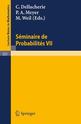 Dellacherie / Meyer / Weil |  Séminaire de Probabilités VII | Buch |  Sack Fachmedien