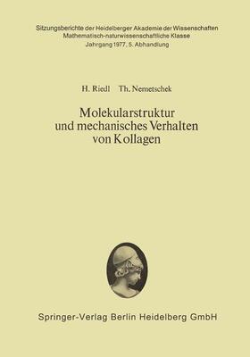 Nemetschek / Riedl |  Molekularstruktur und mechanisches Verhalten von Kollagen | Buch |  Sack Fachmedien