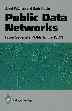 Kubin / Puzman |  Public Data Networks | Buch |  Sack Fachmedien