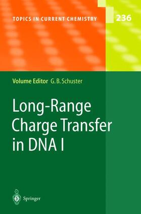Schuster |  Long-Range Charge Transfer in DNA I | Buch |  Sack Fachmedien