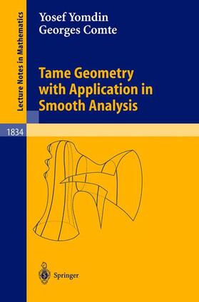 Comte / Yomdin |  Tame Geometry with Application in Smooth Analysis | Buch |  Sack Fachmedien