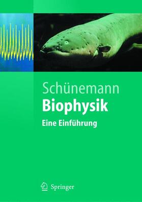 Schünemann |  Biophysik | Buch |  Sack Fachmedien