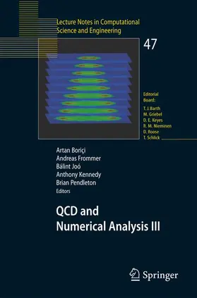 Boriçi / Frommer / Joó |  QCD and Numerical Analysis III | Buch |  Sack Fachmedien