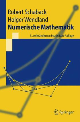 Wendland / Schaback |  Numerische Mathematik | Buch |  Sack Fachmedien
