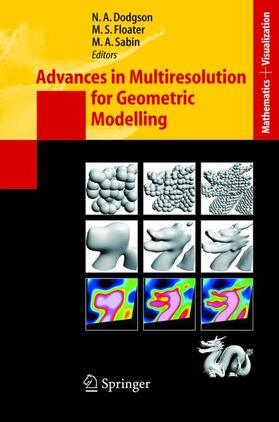 Dodgson / Sabin / Floater |  Advances in Multiresolution for Geometric Modelling | Buch |  Sack Fachmedien