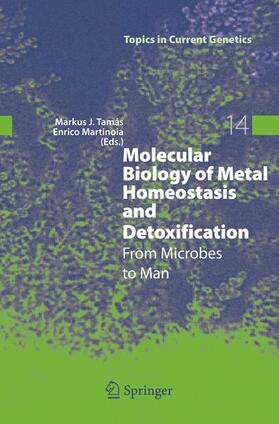Martinoia / Tamás |  Molecular Biology of Metal Homeostasis and Detoxification | Buch |  Sack Fachmedien