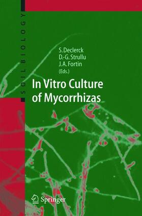 Declerck / Fortin / Strullu |  In Vitro Culture of Mycorrhizas | Buch |  Sack Fachmedien