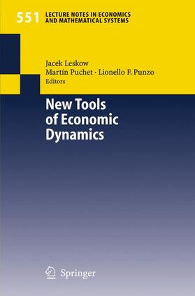 Leskow / Punzo / Puchet |  New Tools of Economic Dynamics | Buch |  Sack Fachmedien