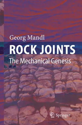 Mandl |  Rock Joints | Buch |  Sack Fachmedien