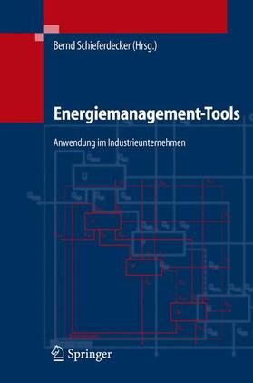 Schieferdecker / Bonneschky / Fünfgeld |  Energiemanagement-Tools | Buch |  Sack Fachmedien