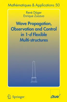 Dáger / Zuazua |  Wave Propagation, Observation and Control in 1-d Flexible Multi-Structures | Buch |  Sack Fachmedien