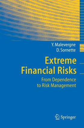 Sornette / Malevergne |  Extreme Financial Risks | Buch |  Sack Fachmedien