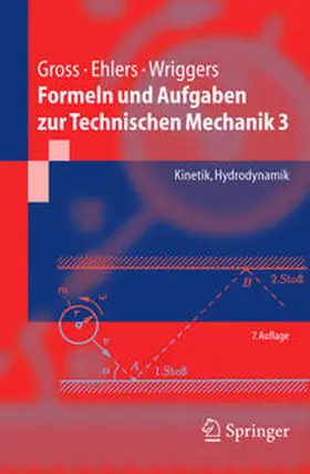 Gross / Ehlers / Wriggers |  Formeln und Aufgaben zur Technischen Mechanik 3 | eBook | Sack Fachmedien