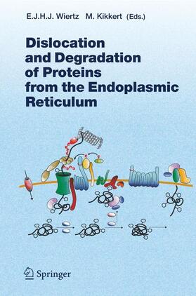 Kikkert / Wiertz |  Dislocation and Degradation of Proteins from the Endoplasmic Reticulum | Buch |  Sack Fachmedien