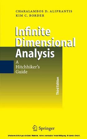 Aliprantis / Border |  Infinite Dimensional Analysis | eBook | Sack Fachmedien