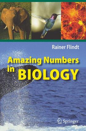 Flindt |  Amazing Numbers in Biology | Buch |  Sack Fachmedien