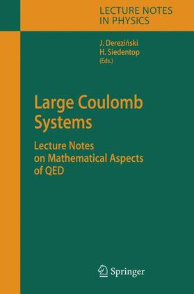 Siedentop / Derezinski |  Large Coulomb Systems | Buch |  Sack Fachmedien