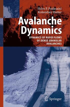 Pudasaini / Hutter |  Avalanche Dynamics | Buch |  Sack Fachmedien
