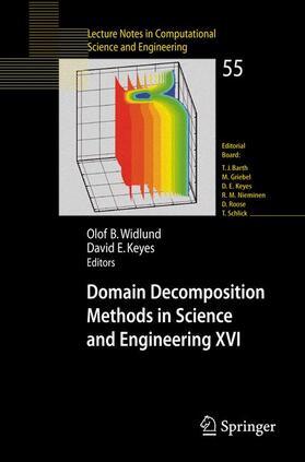 Keyes / Widlund |  Domain Decomposition Methods in Science and Engineering XVI | Buch |  Sack Fachmedien