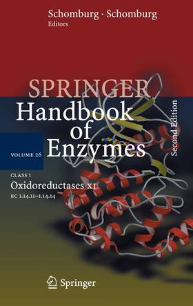 Schomburg / Chang |  Class 1 Oxidoreductases XI | eBook | Sack Fachmedien