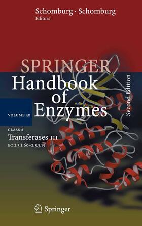 Schomburg / Chang |  Class 2 Transferases III | eBook | Sack Fachmedien