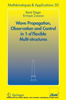 Dáger / Zuazua |  Wave Propagation, Observation and Control in 1-d Flexible Multi-Structures | eBook | Sack Fachmedien