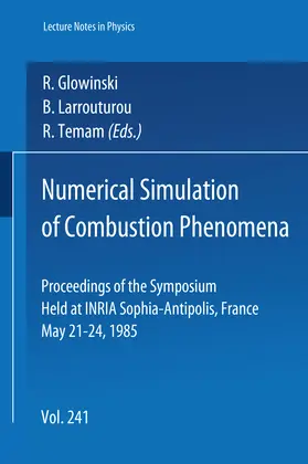 Glowinski / Larrouturou / Temam |  Numerical Simulation of Combustion Phenomena | eBook | Sack Fachmedien