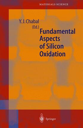 Chabal |  Fundamental Aspects of Silicon Oxidation | Buch |  Sack Fachmedien