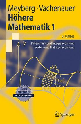 Vachenauer / Meyberg |  Höhere Mathematik 1 | Buch |  Sack Fachmedien