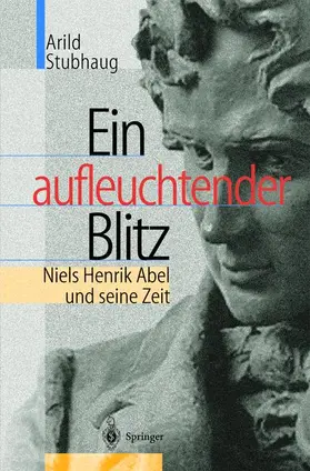 Stubhaug |  Ein aufleuchtender Blitz | Buch |  Sack Fachmedien