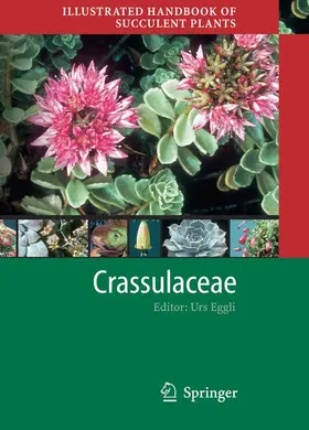 Eggli |  Illustrated Handbook of Succulent Plants: Crassulaceae | Buch |  Sack Fachmedien