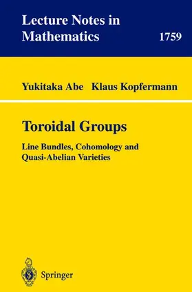 Kopfermann / Abe |  Toroidal Groups | Buch |  Sack Fachmedien