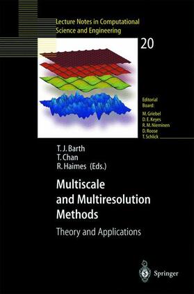 Barth / Haimes / Chan |  Multiscale and Multiresolution Methods | Buch |  Sack Fachmedien