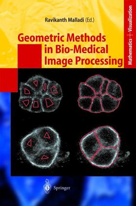 Malladi |  Geometric Methods in Bio-Medical Image Processing | Buch |  Sack Fachmedien