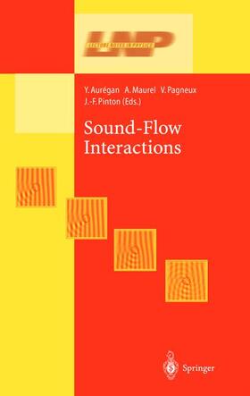 Auregan / Pinton / Maurel |  Sound-Flow Interactions | Buch |  Sack Fachmedien