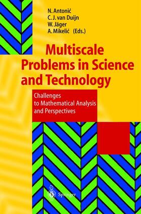 Antonic / Mikelic / Duijn |  Multiscale Problems in Science and Technology | Buch |  Sack Fachmedien