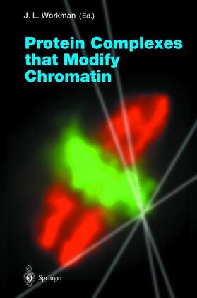 Workman |  Protein Complexes that Modify Chromatin | Buch |  Sack Fachmedien