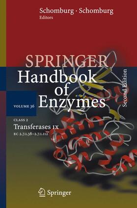 Schomburg |  Class 2 . Transferases IX | Buch |  Sack Fachmedien