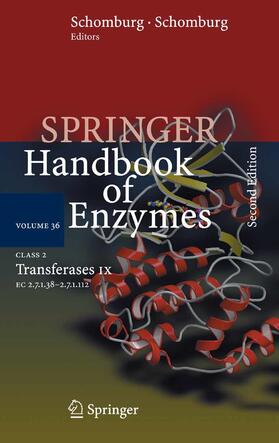 Schomburg / Chang |  Class 2 . Transferases IX | eBook | Sack Fachmedien