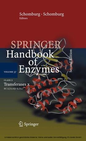 Schomburg / Scomburg / Chang |  Class 2 Transferases X | eBook | Sack Fachmedien