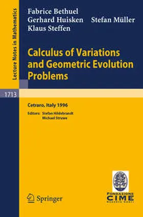 Bethuel / Hildebrandt / Huisken |  Calculus of Variations and Geometric Evolution Problems | eBook | Sack Fachmedien