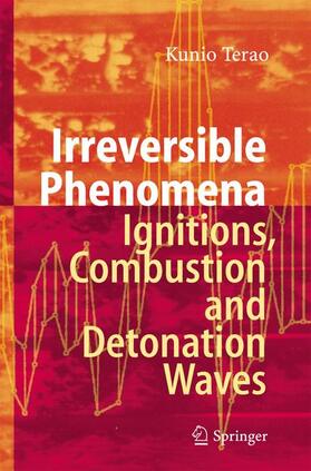 Terao |  Irreversible Phenomena | Buch |  Sack Fachmedien