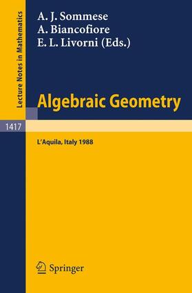 Sommese / Livorni / Biancofiore |  Algebraic Geometry | Buch |  Sack Fachmedien