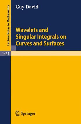 David |  Wavelets and Singular Integrals on Curves and Surfaces | Buch |  Sack Fachmedien