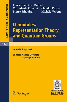 Schapira / Boutet de Monvel / Concini |  D-modules, Representation Theory, and Quantum Groups | Buch |  Sack Fachmedien