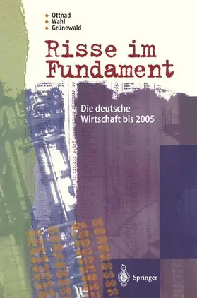 Ottnad / Grünewald / Wahl |  Risse im Fundament | Buch |  Sack Fachmedien